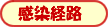 感染経路