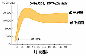 妊娠集数と尿中hCG濃度のグラフ