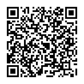 c14c018fed14d3802822cf2a0ea7cef75bcb22b2.png